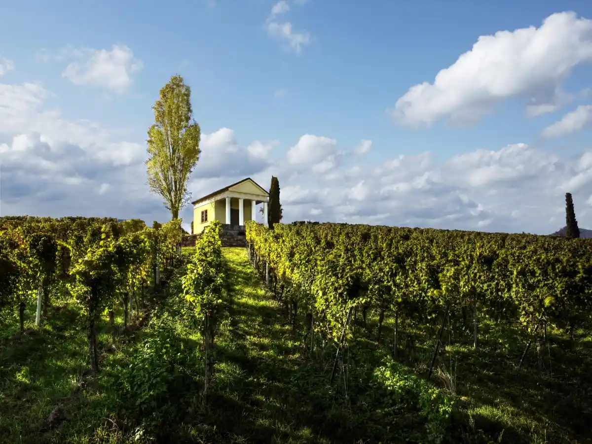 Route Neustadt Maikammer Rhodt Edenkoben
