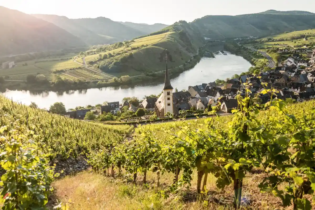 Grand Collection Route durch die Pfalz