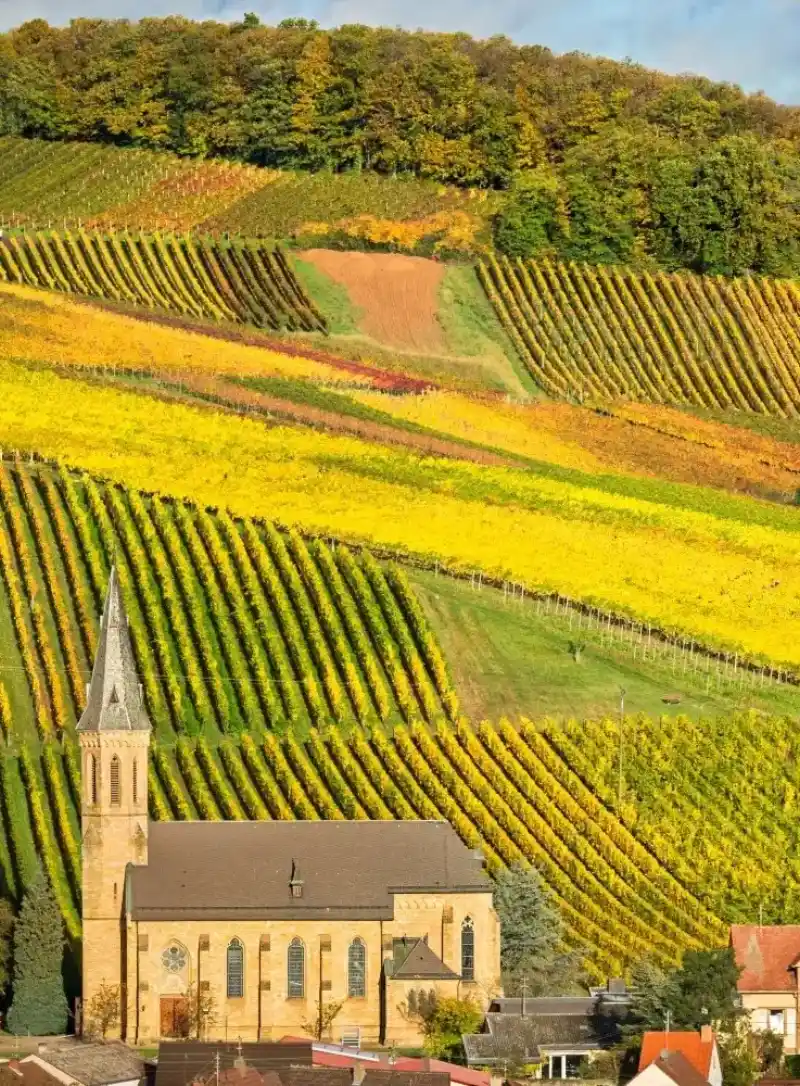 Grand Touring entlang der Deutschen Weinstraße in der Pfalz